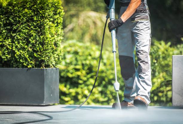 Best Spring Cleaning  in Csar Chvez, TX
